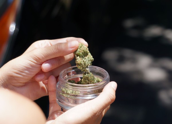 Marijuana Category For Write For Us Blog Posting