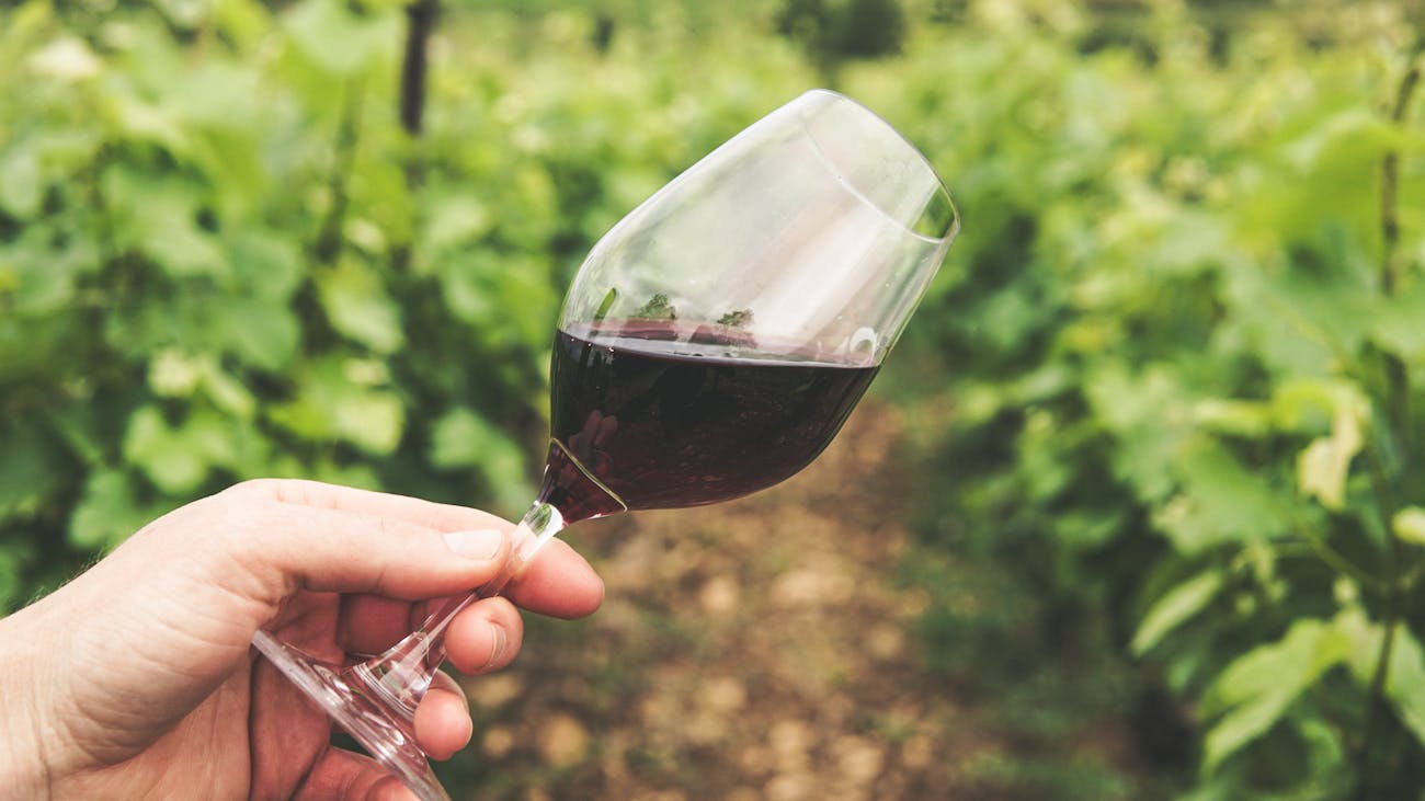 5-Interesting-Facts-About-Wine.jpg