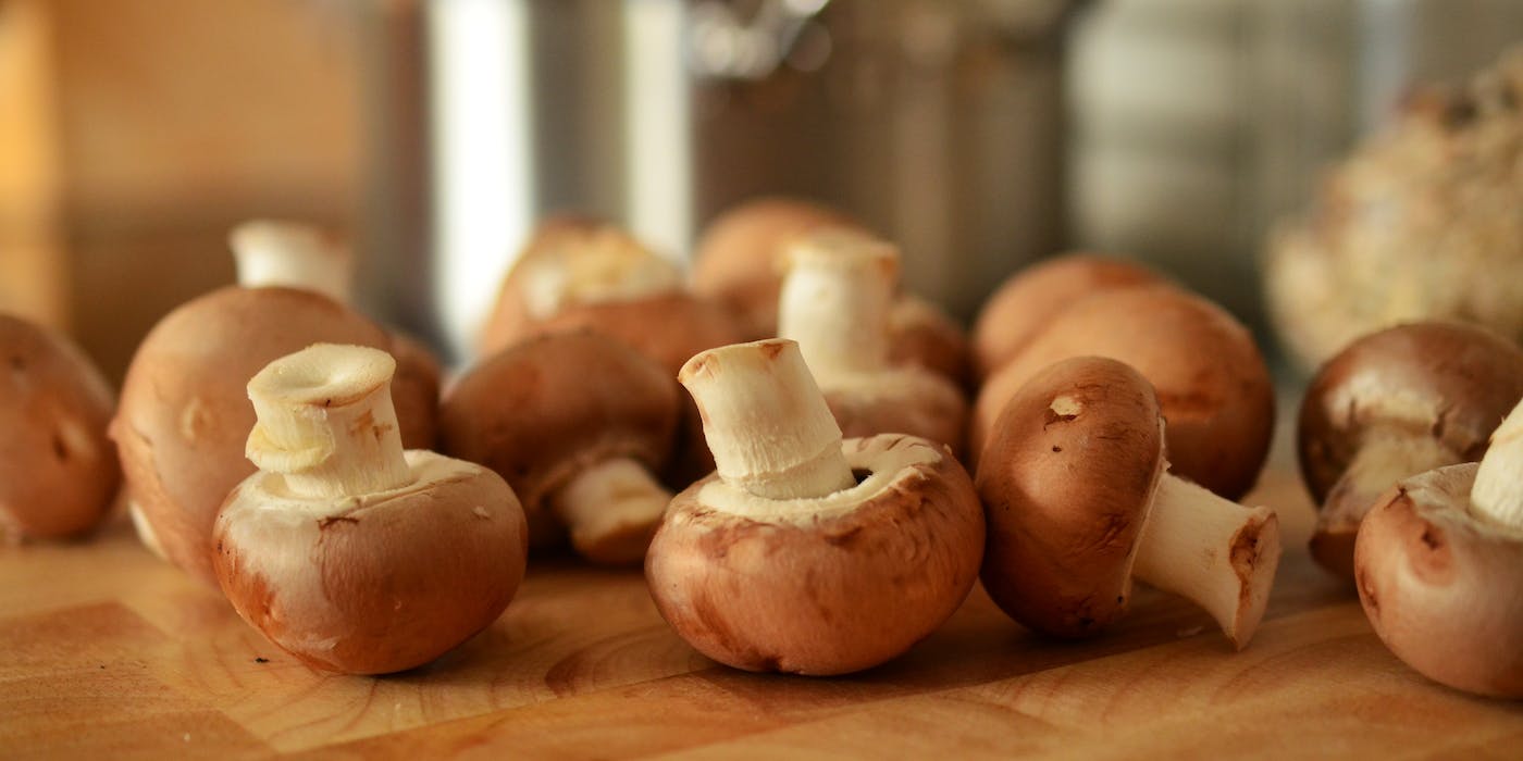 A-Beginner's-Guide-to-Using-Mushroom-Supplements.jpg
