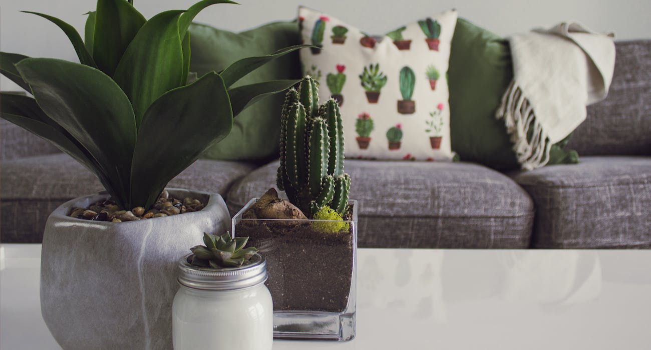 Decorate-to-Impress-A-Showcase-of-Must-Have-Home-Decor-Items.jpg