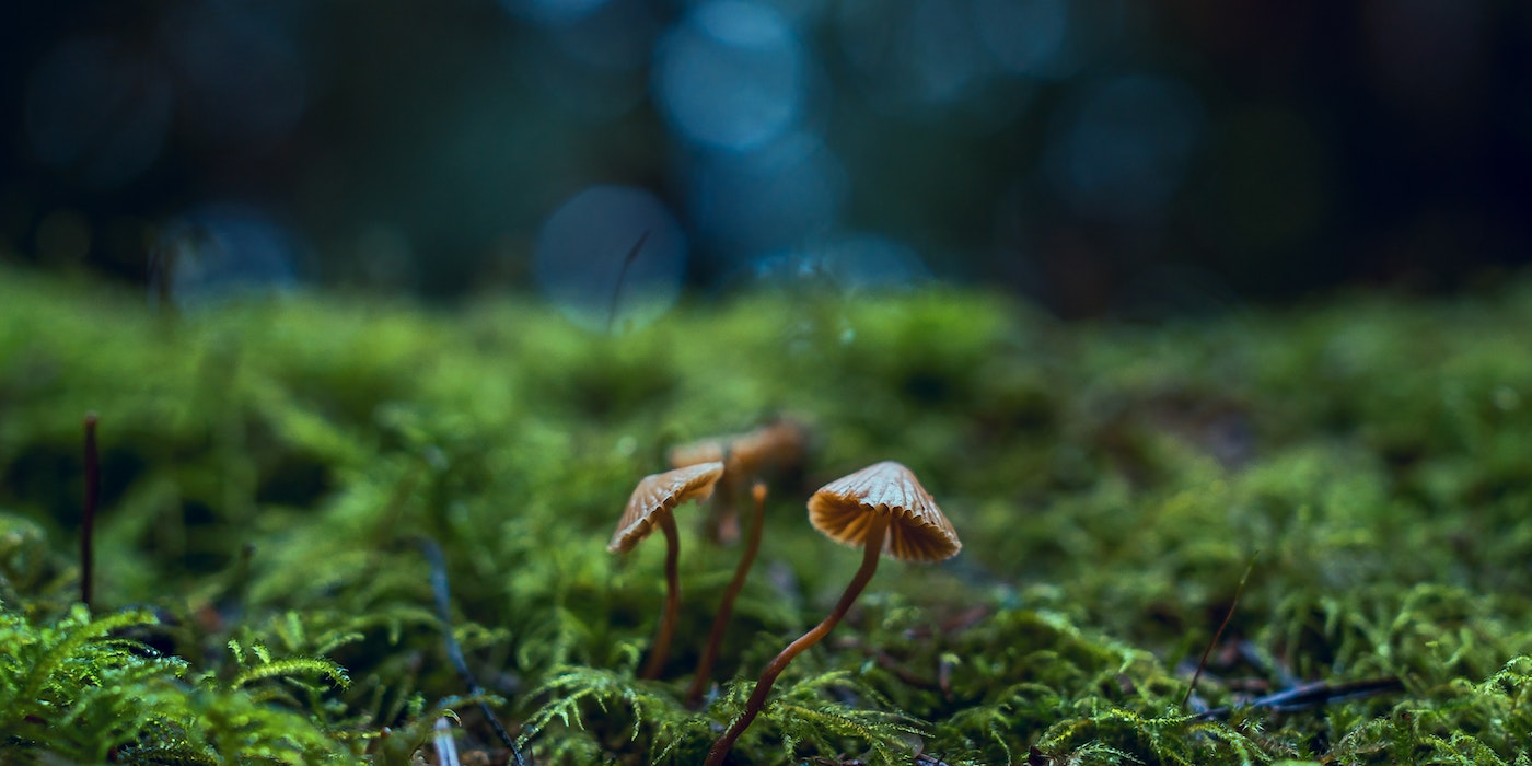 Exploring-the-Elements-of-a-Functional-Learning-Environment.jpg