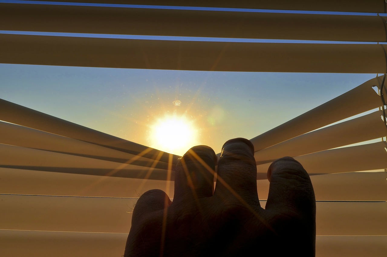 How-to-Choose-the-Perfect-Roller-Shade-for-Your-Home.jpg