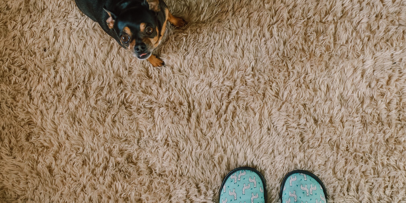 The-Top-10-Benefits-of-Professional-Carpet-Cleaning-in-Burnaby.jpg