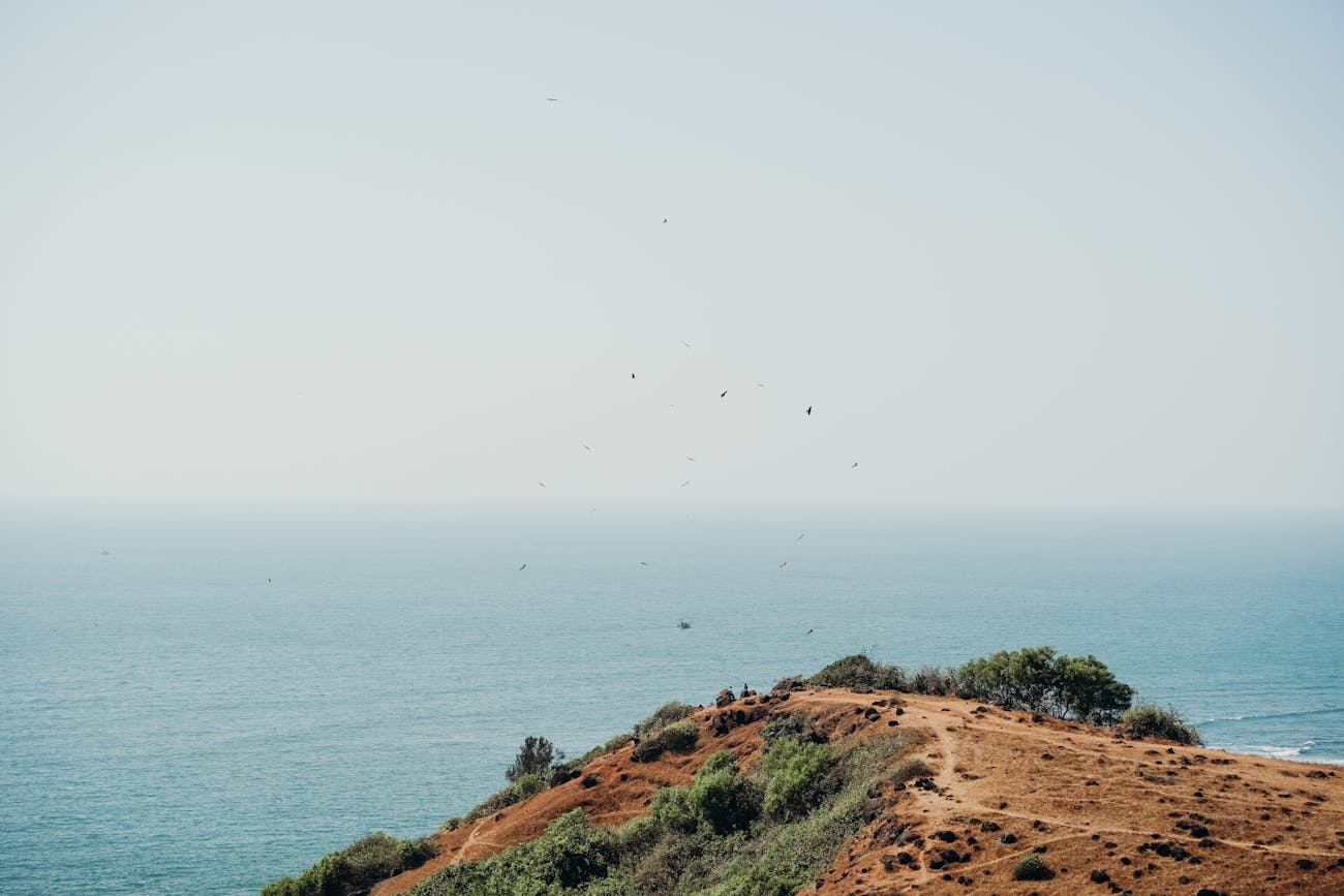 The-Top-11-Attractions-of-Goa-that-You-Should-Visit-Once.jpg