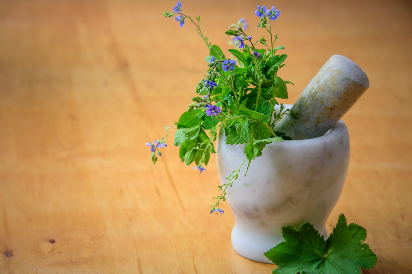 Write-For-Us-Health-And-Fitness-Share-Your-Passion-For-Wellness.jpg