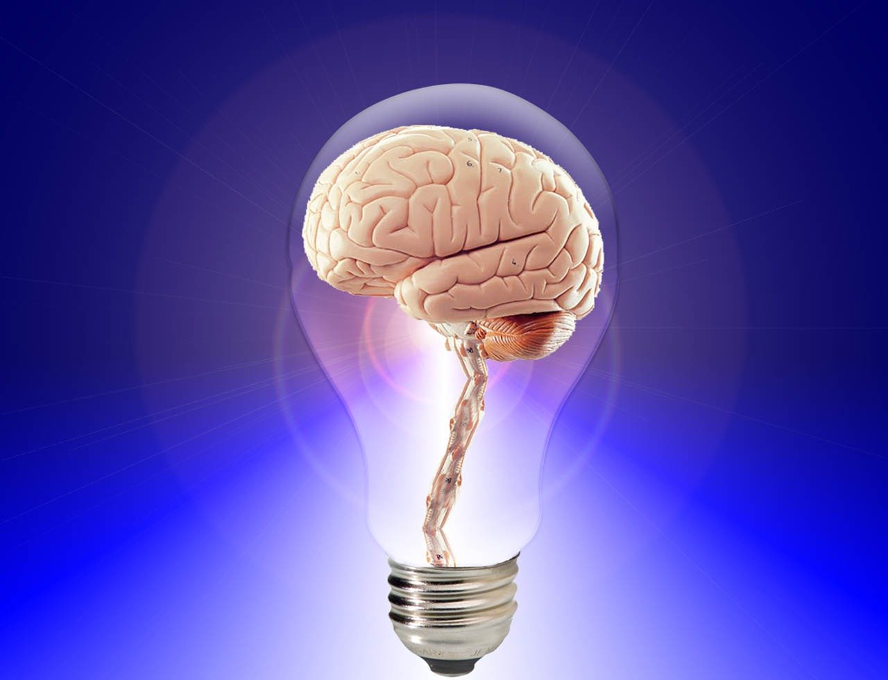 brain-20424-(1).jpg
