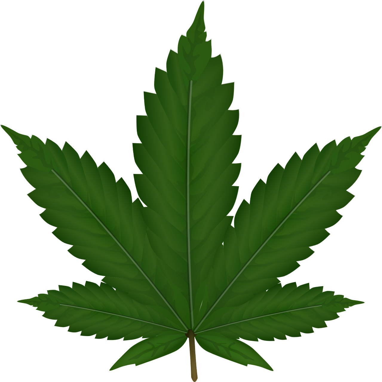 cannabis-306291_1280.png