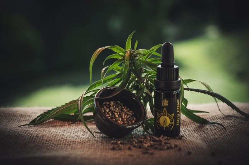 The Role Of Celebrities In Promoting CBD Products