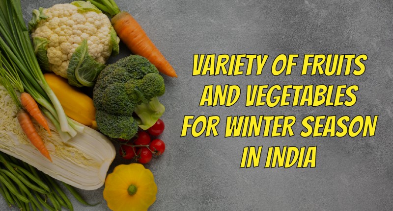 Variety Of Fruits And Vegetables For Winter Season In India