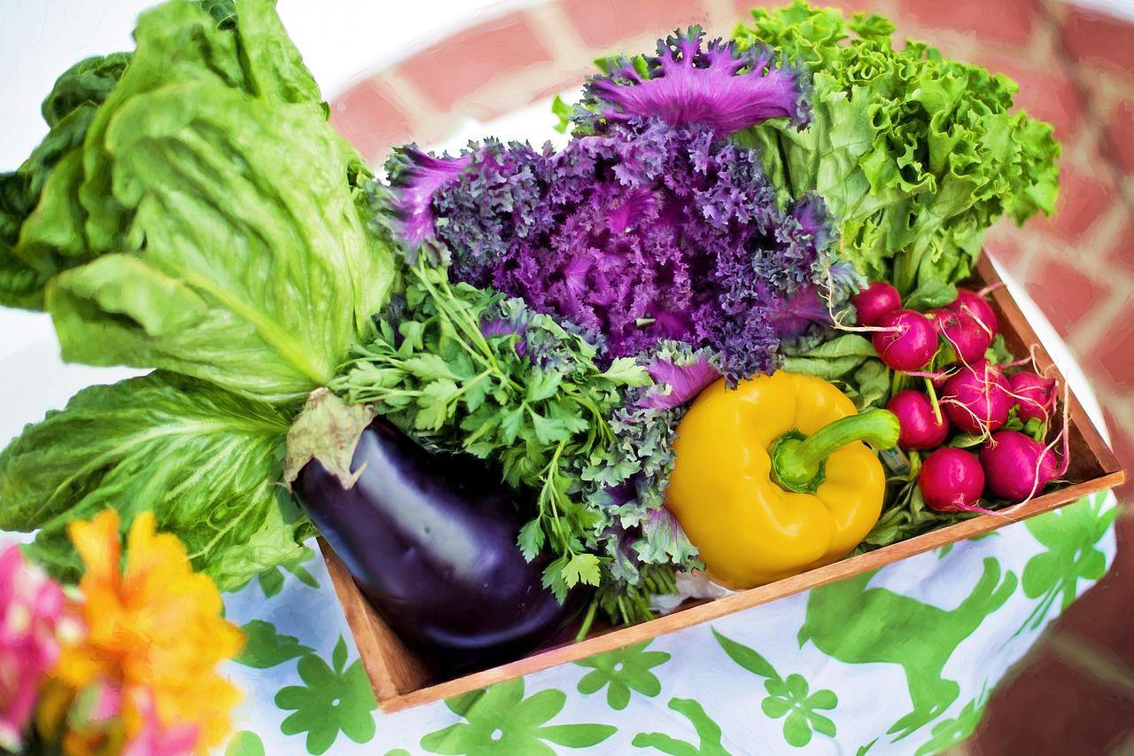 vegetables-g12f71d438_1280.jpg